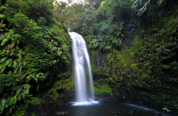 Montagne d’Ambre National Park