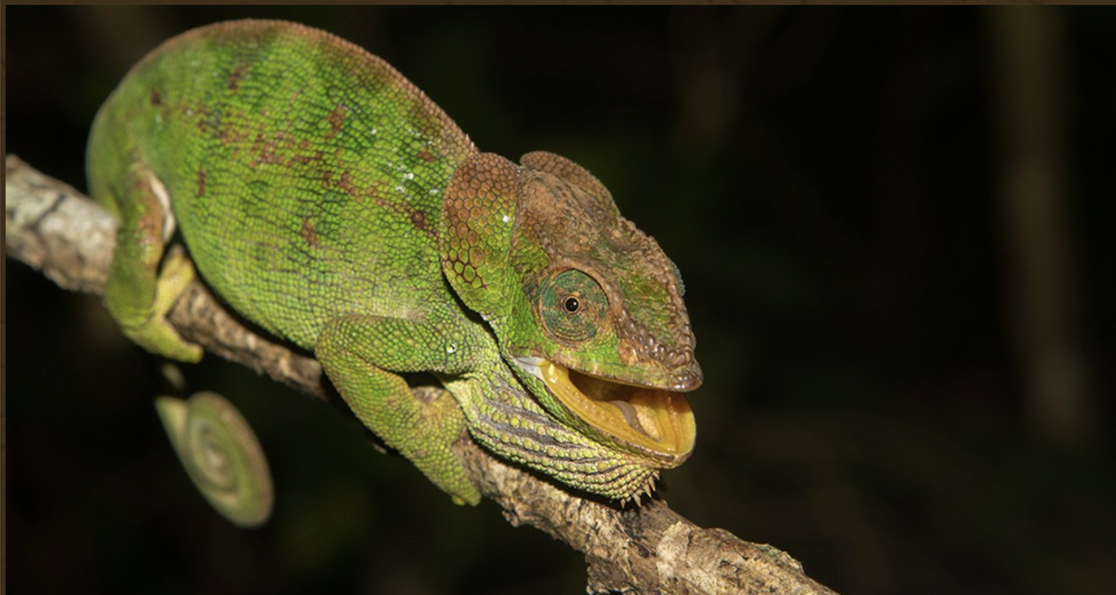Peyrieras Reserve