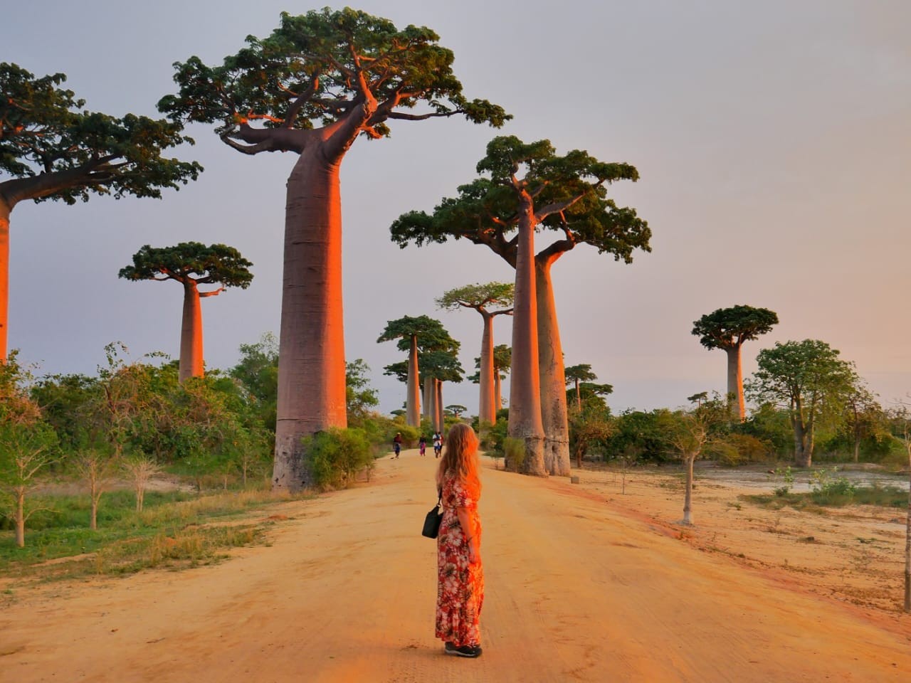 Madagascar Classic Adventure with Island Escape