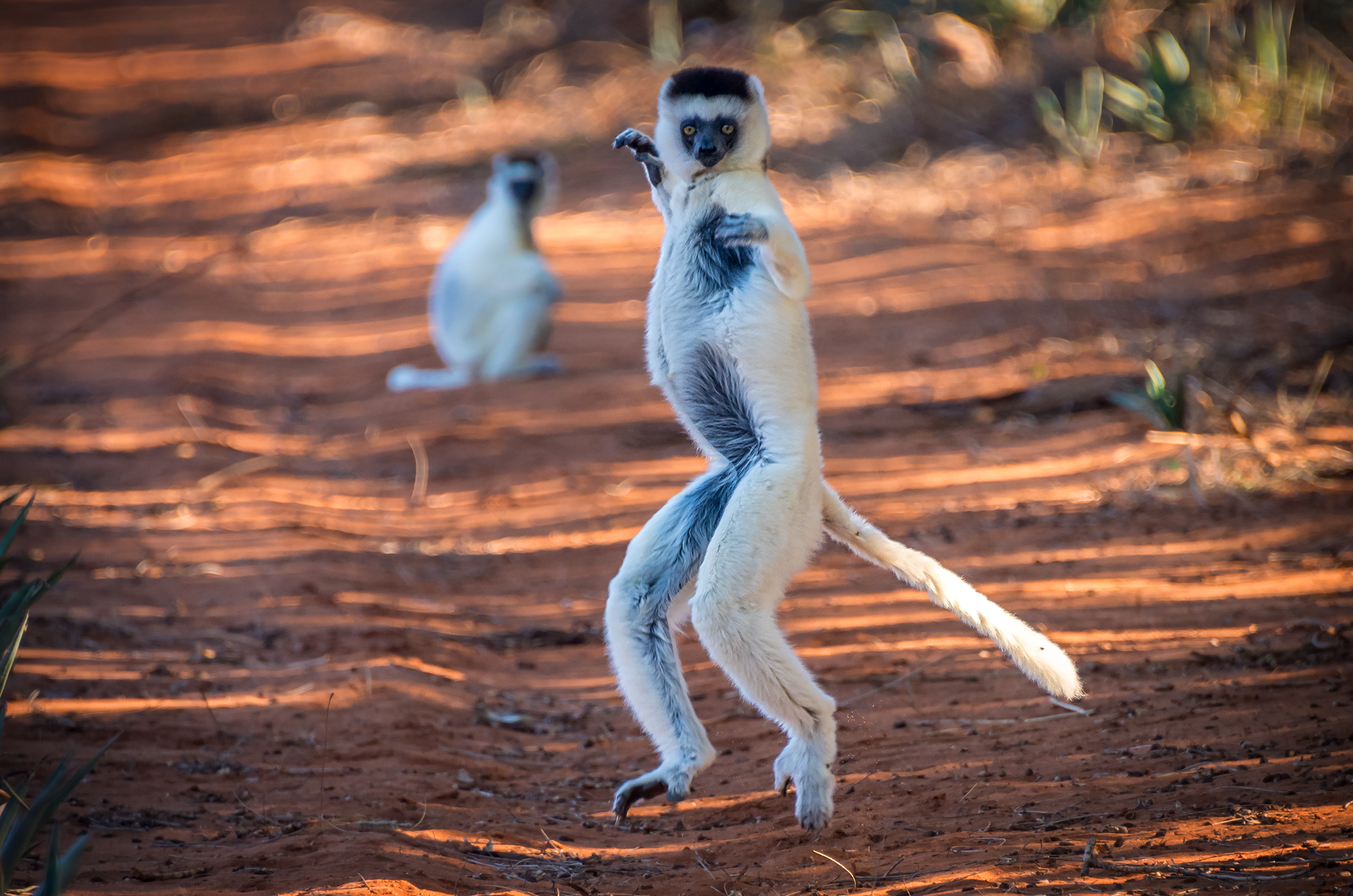 RN7 Madagascar Road Trip — photo 4