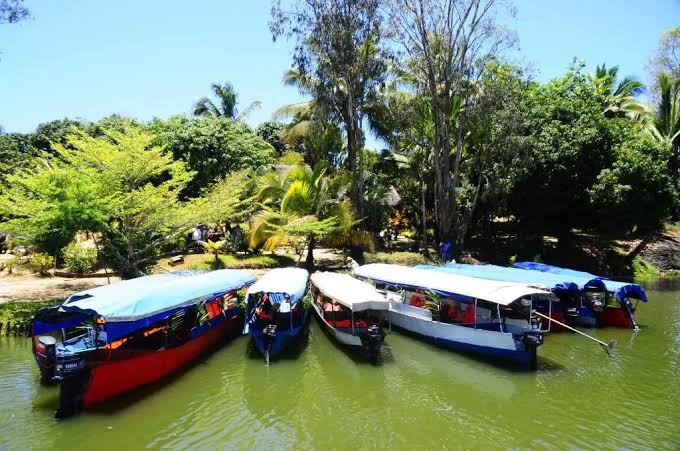 Eastern Madagascar Rainforest and Pangalanes Canal Journey