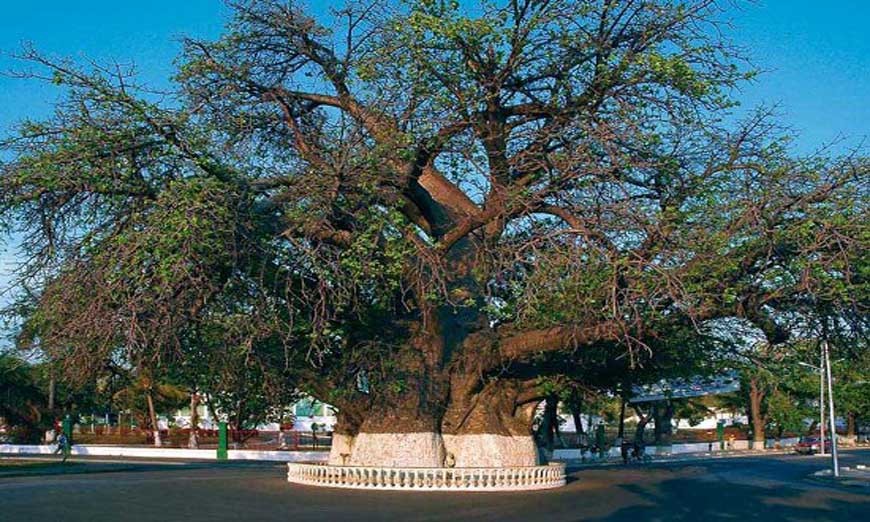 Mahajanga