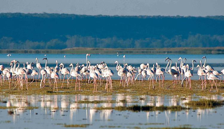 Tsimanampetsotsa National Park